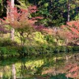 岐阜県関市板取のモネの池に行ってみました