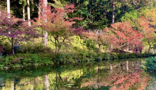 岐阜県関市板取のモネの池に行ってみました
